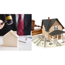 Khi tập sự hành nghề đấu giá được điều hành cuộc đấu giá tài sản không?