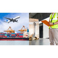 Chủ phương tiện vận tải có bắt buộc là người khai hải quan không?