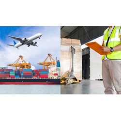 Chủ phương tiện vận tải có bắt buộc là người khai hải quan không?