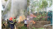 Quy định mới về nội dung và mức chi kinh phí chữa cháy rừng
