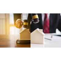 Người hành nghề đấu giá có phải đã tốt nghiệp khóa đào tạo nghề đấu giá không?