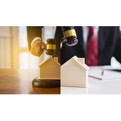 Người hành nghề đấu giá có phải đã tốt nghiệp khóa đào tạo nghề đấu giá không?