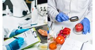 Ai là người khai báo tin ngộ độc thực phẩm khi bị ngộ độc thực phẩm tại gia đình?