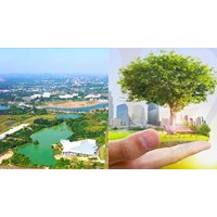 Hồ sơ đề nghị chứng nhận Nhãn sinh thái Việt Nam gồm những gì?