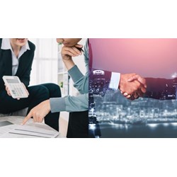 Trường hợp nào tổ chức cung ứng dịch vụ tư vấn phải bồi thường thiệt hại?