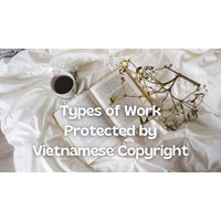 Types of Works Protected by Vietnamese Copyright