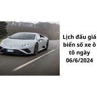 Lịch đấu giá biển số xe ô tô ngày 06/6/2024 như thế nào?
