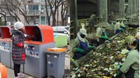 Nguyên tắc thực hiện phân loại chất thải rắn sinh hoạt từ hộ gia đình