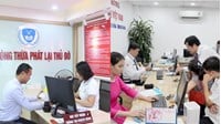 Những trường hợp nào sẽ tạm đình chỉ hành nghề Thừa phát lại?