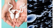Mức xử phạt hành chính khi bán tinh trùng của mình cho nhiều người