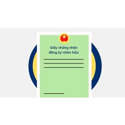 Đăng ký bản quyền logo thương hiệu ở đâu?