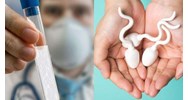 Có được bán tinh trùng của mình cho người khác hay không?