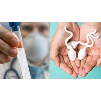 Có được bán tinh trùng của mình cho người khác hay không?