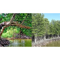 Lấy ý kiến của đối tượng nào khi thành lập khu rừng phòng hộ?