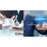 Doanh nghiệp bảo hiểm hoạt động dưới hình thức công ty cổ phần hay công ty TNHH?
