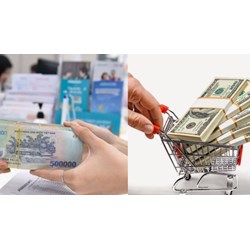 Trường hợp nào nhà đầu tư được giảm tiền bảo đảm thực hiện dự án?