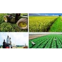 07 nguyên tắc tổ chức, quản lý và hoạt động mới nhất của tổ hợp tác, hợp tác xã, liên hiệp hợp tác xã
