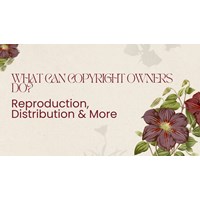 What Can Copyright Owners Do? Reproduction, Distribution & More