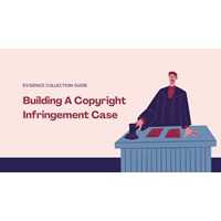 Building a Copyright Infringement Case: Evidence Collection Guide