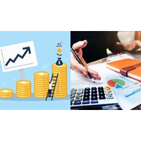 Trường hợp nào sẽ thu hồi thẻ thẩm định viên về giá từ 01/7/2024?