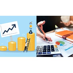 Trường hợp nào sẽ thu hồi thẻ thẩm định viên về giá từ 01/7/2024?