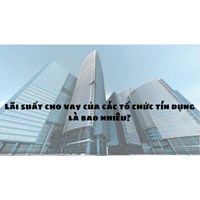 Lãi suất cho vay của tổ chức tín dụng hiện nay là bao nhiêu?