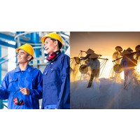 Phân loại lao động theo điều kiện lao động như thế nào?