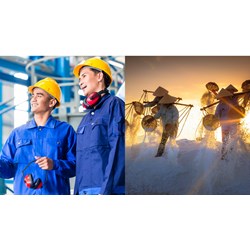Phân loại lao động theo điều kiện lao động như thế nào?