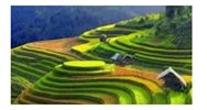 Nét nổi bật của địa hình vùng núi Đông Bắc là gì? - Địa lý lớp 12