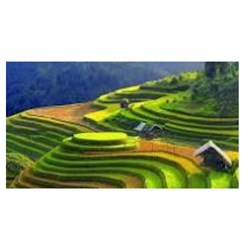 Nét nổi bật của địa hình vùng núi Đông Bắc là gì? - Địa lý lớp 12