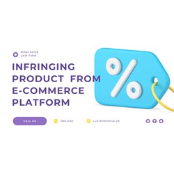 Removing Infringing Products from E-commerce Platforms