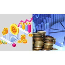 Hình thức công khai ngân sách đối với đơn vị dự toán ngân sách?