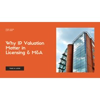 Why Intellectual Property Valuation Matters in Licensing & M&A