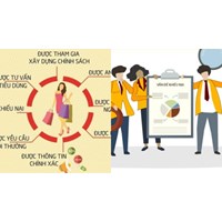Quy định về trách nhiệm tiếp nhận và giải quyết phản ánh, yêu cầu, khiếu nại của người tiêu dùng