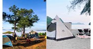 Mức phạt kinh doanh bãi cắm trại du lịch không đáp ứng điều kiện về bảo vệ môi trường