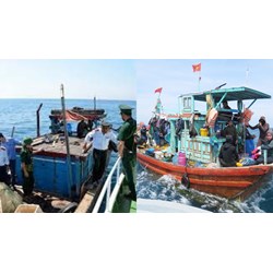 Nghĩa vụ của tổ chức, cá nhân nước ngoài có tàu hoạt động thủy sản trong vùng biển Việt Nam