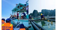 Điều kiện tổ chức, cá nhân nước ngoài có tàu hoạt động thủy sản trong vùng biển Việt Nam