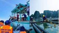 Điều kiện tổ chức, cá nhân nước ngoài có tàu hoạt động thủy sản trong vùng biển Việt Nam