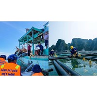 Điều kiện tổ chức, cá nhân nước ngoài có tàu hoạt động thủy sản trong vùng biển Việt Nam