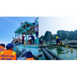 Điều kiện tổ chức, cá nhân nước ngoài có tàu hoạt động thủy sản trong vùng biển Việt Nam