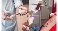 Có được xin nghỉ phép để hưởng ứng ngày Quốc tế người hiến máu không?