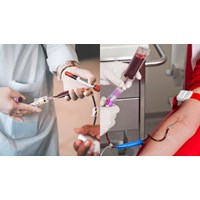 Có được xin nghỉ phép để hưởng ứng ngày Quốc tế người hiến máu không?