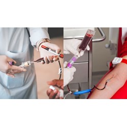 Có được xin nghỉ phép để hưởng ứng ngày Quốc tế người hiến máu không?