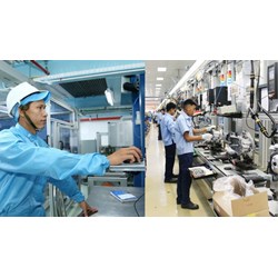 Công việc cụ thể của Chuyên viên về phát triển khởi nghiệp đổi mới sáng tạo
