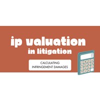IP Valuation in Litigation: Calculating Infringement Damages