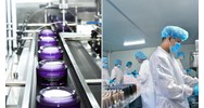 Người phụ trách cơ sở sản xuất mỹ phẩm có phải tốt nghiệp đại học chuyên ngành hóa học không?
