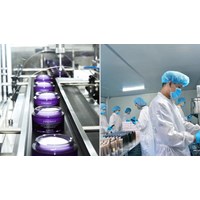 Người phụ trách cơ sở sản xuất mỹ phẩm có phải tốt nghiệp đại học chuyên ngành hóa học không?
