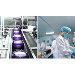 Người phụ trách cơ sở sản xuất mỹ phẩm có phải tốt nghiệp đại học chuyên ngành hóa học không?