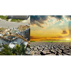 Tổng hợp văn bản hướng dẫn Luật Phòng chống thiên tai mới nhất?