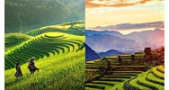 Người quản lý điểm du lịch có những quyền và nghĩa vụ nào?